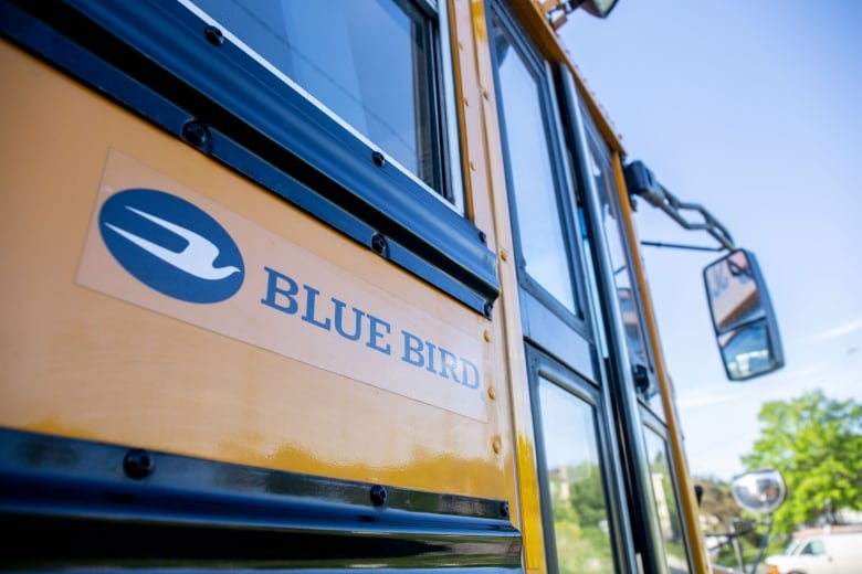 A yellow school bus on a sunny day. 