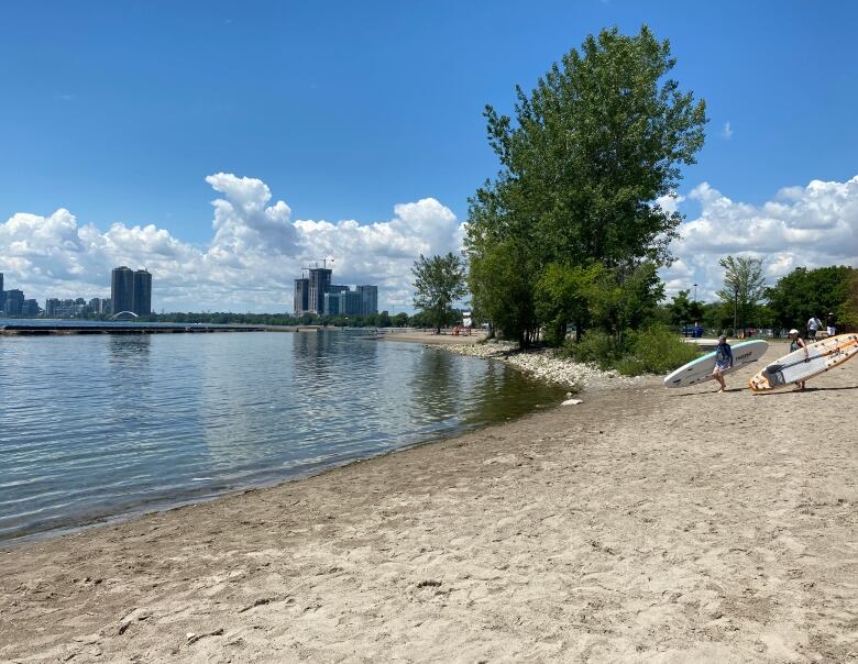 Photograph showing a sandy Toronto beach