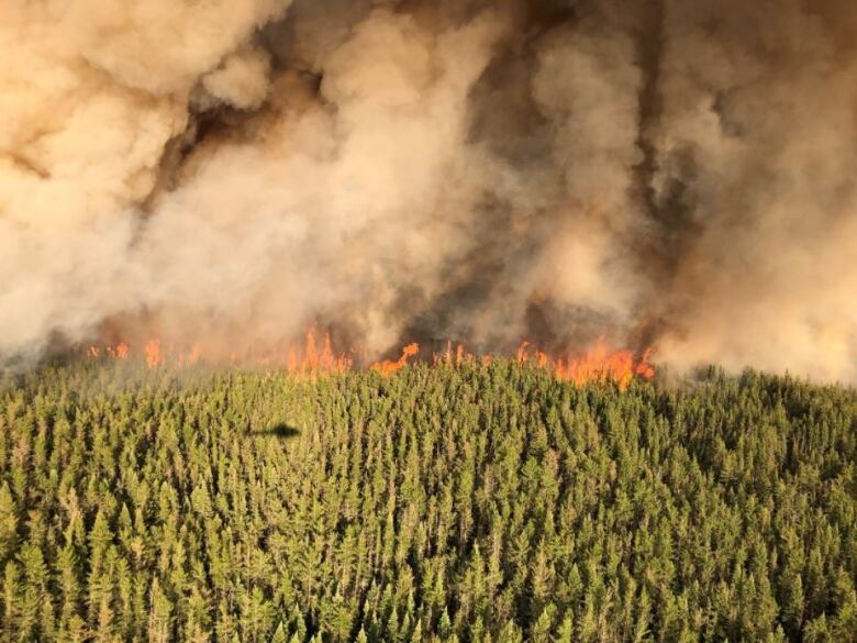 A burning forest fire.