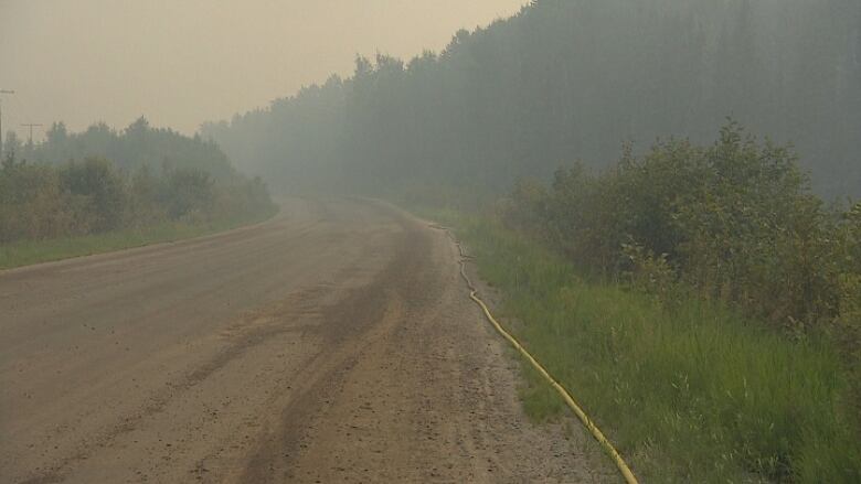 A dirt road in a forest with fire smoke blocking the field of visibility. 