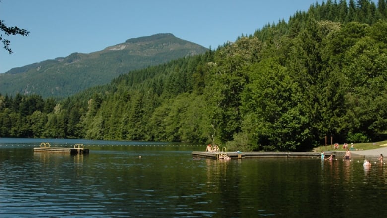 Lake with dock and small beach