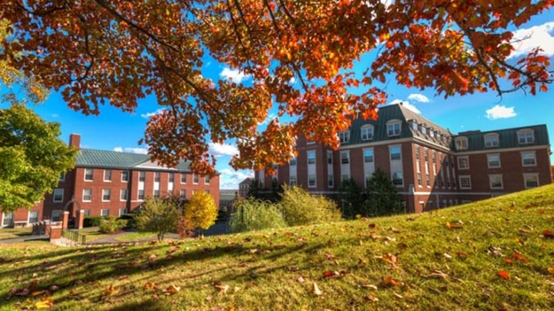 Fall foliage is in the foreground, with two red brick campus buildings in the background 