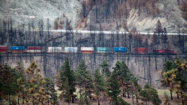 A freight train runs through a track with burned trees on a hilltop.