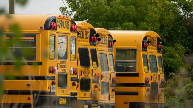 Four parked school buses in a parking lot in late summer.