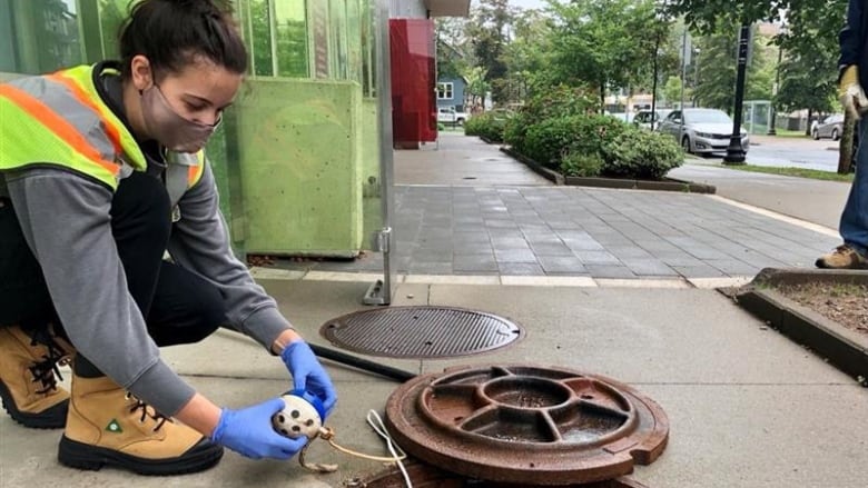 A woman squatting deploys the sewer cage ball to gather a wastewater sample.