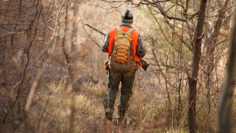 A hunter is pictured from behind walking through a wooded area in an orange vest.