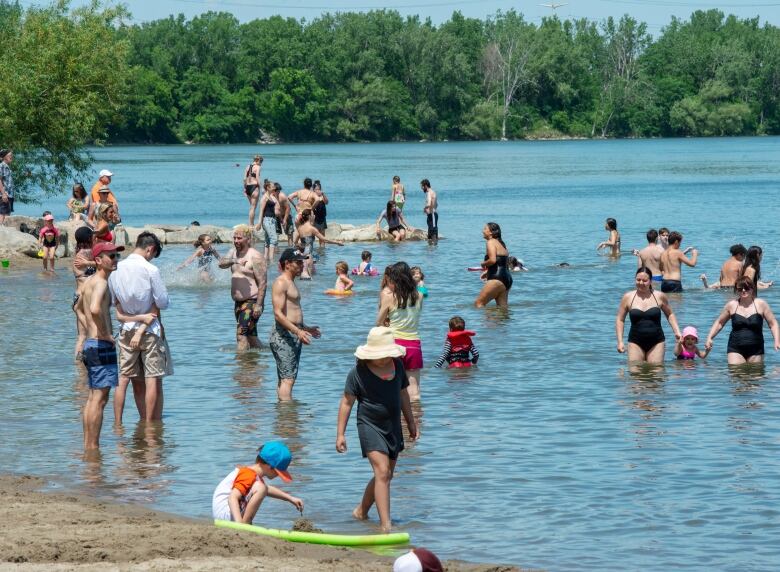 people at the beach