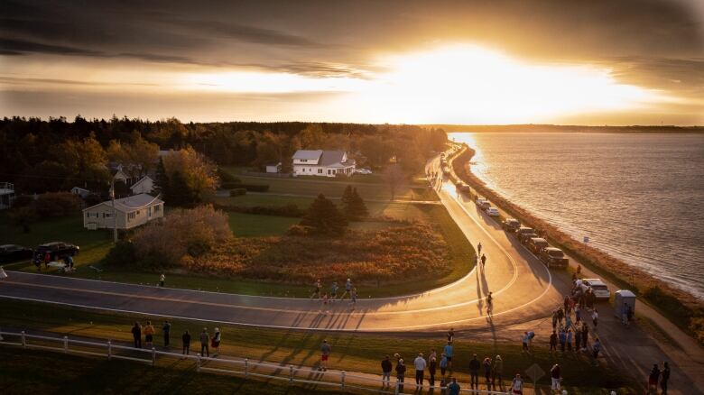 A road along a coastline