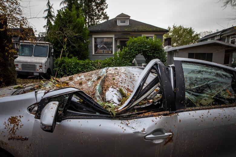 A car is crushed by the weight of leaves and debris.