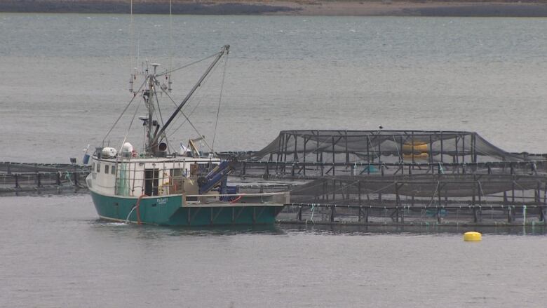 Salmon farm in the Atlantic Ocean.