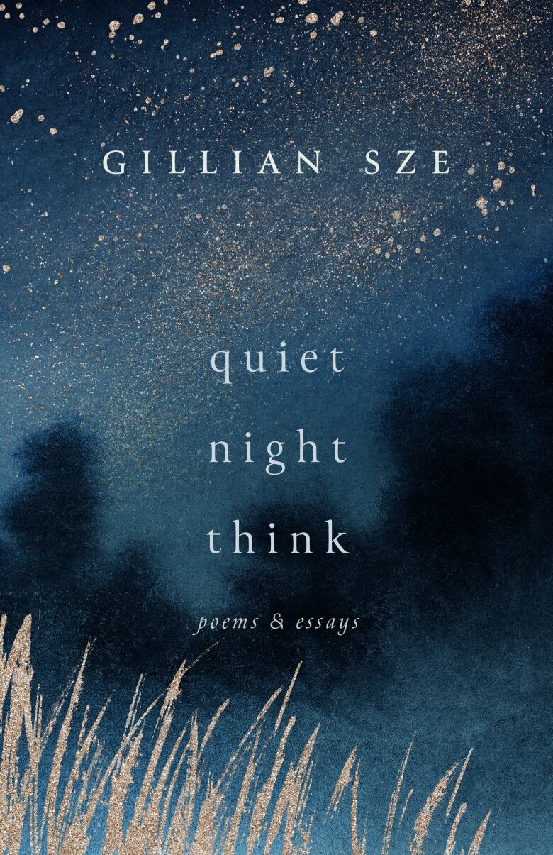 Book cover image of a blurry dark blue and black night's sky with hay at the bottom. White text overlaid.