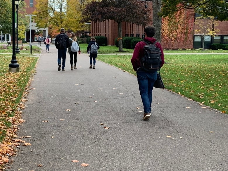 Students walk along a paved path on a university campus, as autumn trees shed leaves.