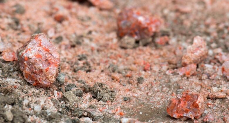 Pieces of potash scattered on a surface.