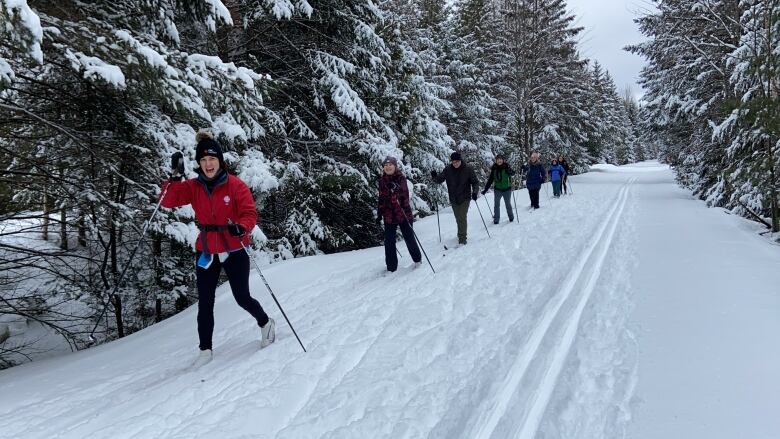 CBC Quebec journalist Marika Wheeler is at the front of a line of cross-country skiiers.