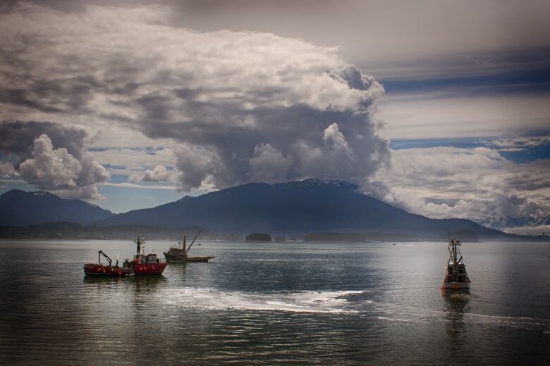 Salmon fishing boats are pictured off the shore of Alaska. 