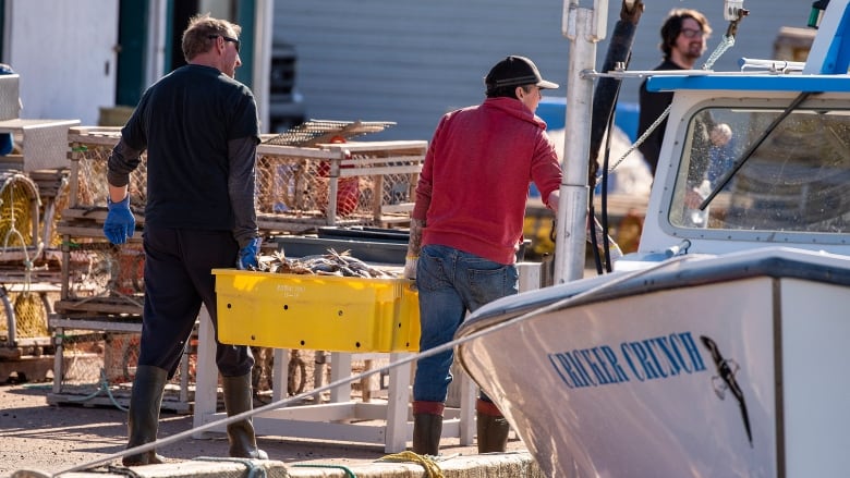 Two men carry large yellow tub of lobster on fishing wharf.