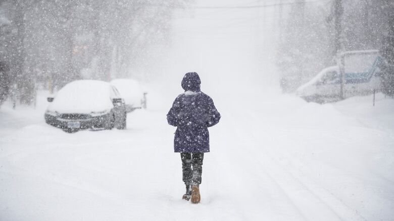 A person is seen from the back, walking in the middle of a snowy street with cars parked at the sides and covered in a layer of snow.