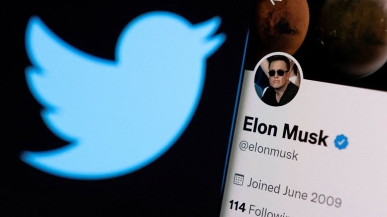 An image of the Twitter symbol, which is a blue bird, alongside a Twitter profile for Elon Musk.