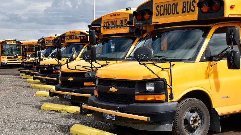 A line of yellow school buses sit in a parking lot.