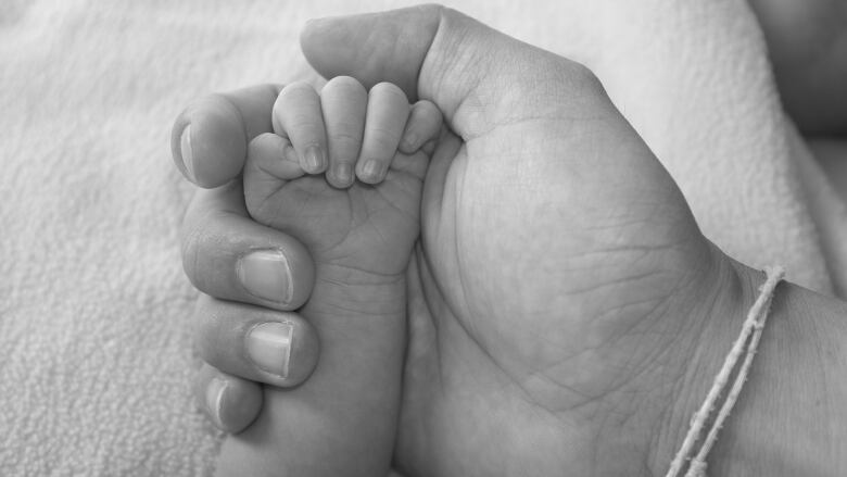 Portrait of an adult hand holding a baby's hand.