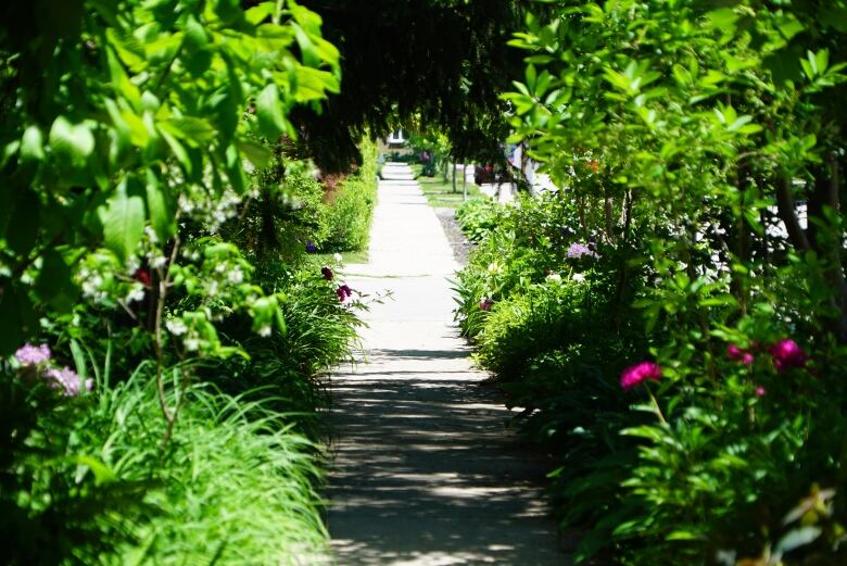 naturalized yard