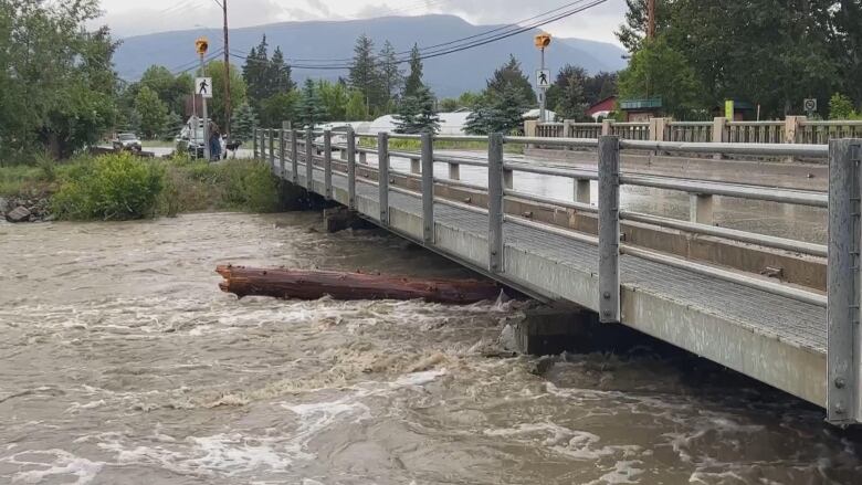 A log is seen floating just beneath a bridge over a fast-moving river.