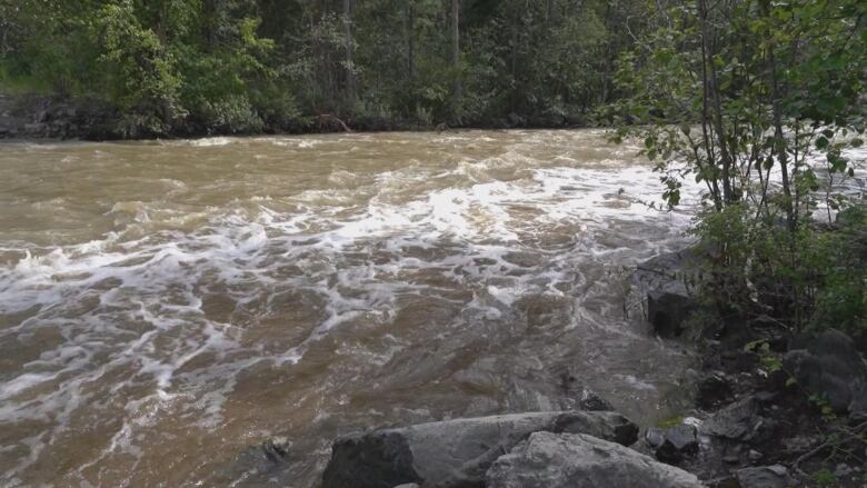 A fast-flowing river with brownish water. Trees are visible to the right of the image.