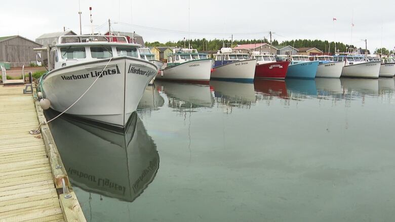 A row of fishing boats lined up along a wharf.