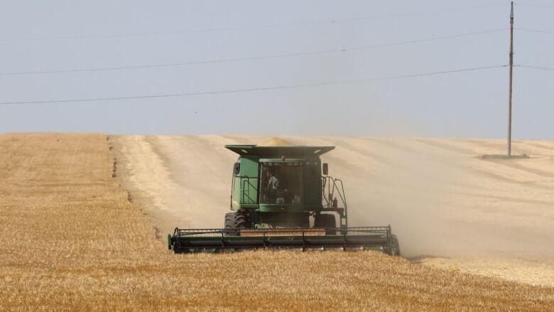 A green combine tractor harvests wheat in a field. 