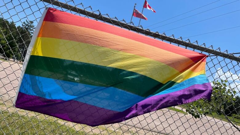 A rainbow flag hangs from a fence.