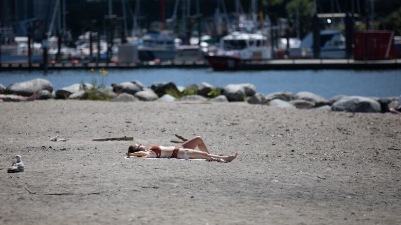 A woman in a brown bikini lays flat on a towel on a sandy beach. A seagull sits just off to her left. Boats are visible in the background.