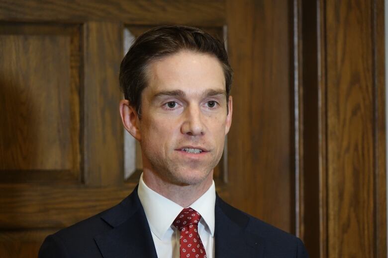 John Hogan stands in front of the wooden doors at the House of Assembly. He wears a black suit and a red tie with white spots.