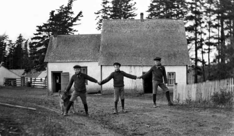 Three boys holding hands in a yard in front of small farmyard buildings. They are accompanied by a dog.