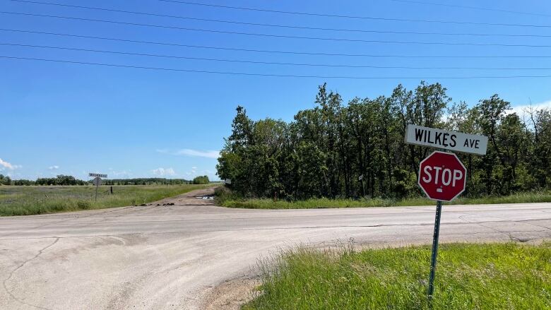 An intersection of a rural area with gravel roads, fields and trees.