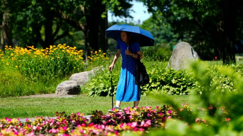 Someone with an umbrella and walking stick in a garden.