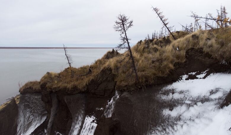 Outdoor view of slumping trees and grasslands atop melting permafrost soil.