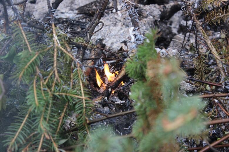 Small flames start on a charred branch sitting on the ground in a pile of ash.