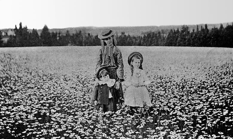 Black and white photo of three people standing in a daisy field: A little boy and a little girl with a young woman - possibly their mother or older sister.