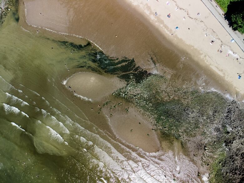 An aerial image of extreme low tide at Third Beach in Vancouver's Stanley Park.