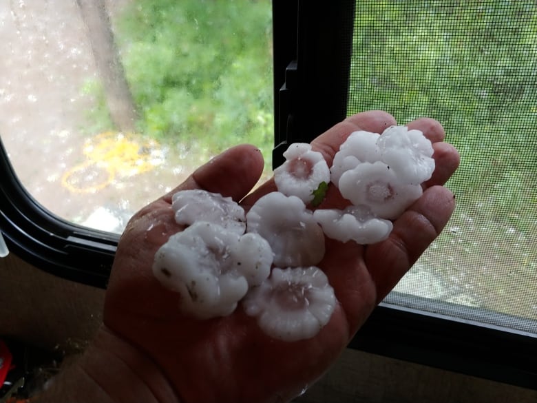 Large hail being held in someone's hand.