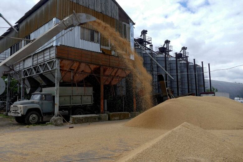 Grain being dumped from a truck onto a pile in front of large steel silos. 