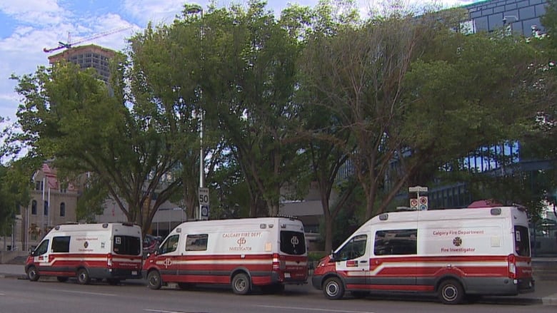 Three white and red vans parked on a street in front of trees. 