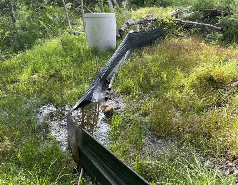 A plastic black barrier divides a property line and water is pooling in the grass.