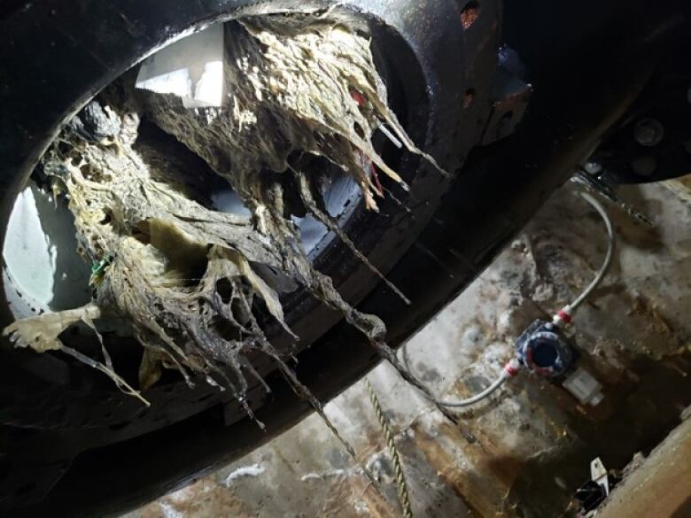 Gross white rags are seen clogging up a pipe in what appears to be a sewer system