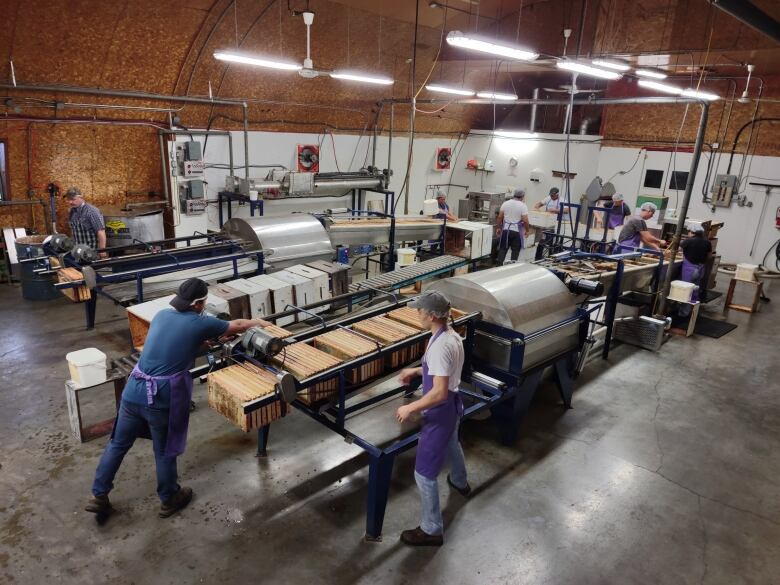 Workers moving hive frames on a production line in a warehouse.