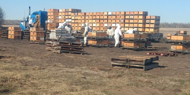 People in white beekeeper suits move hives in front of a loaded semi-trailer.