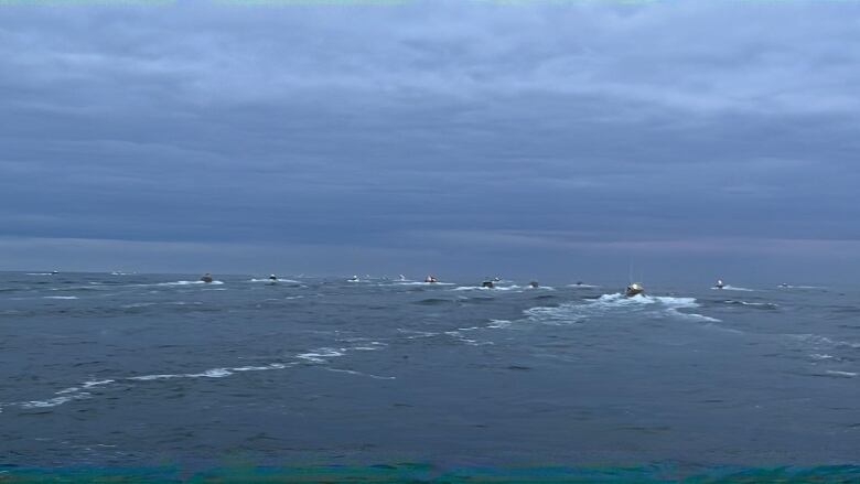 Lobster boats on calm water