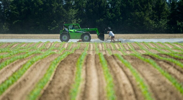 A field with a green tractor and a worker.