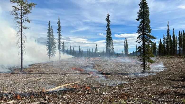 Field burning