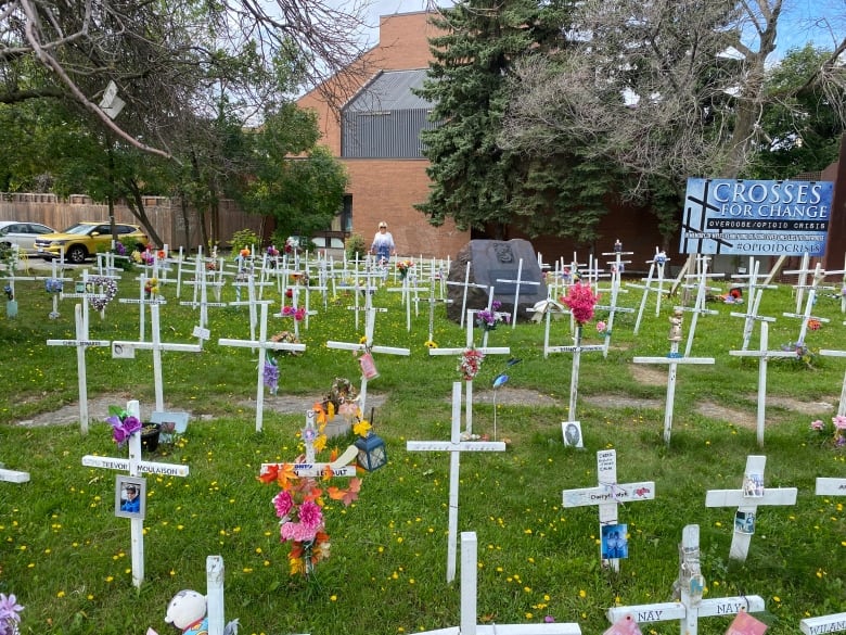 A field with white crosses.